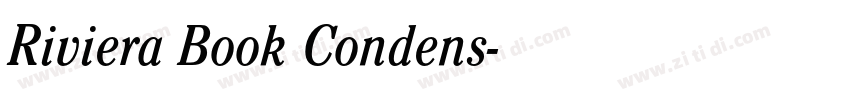 Riviera Book Condens字体转换